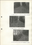 Ewidencja parkowa, skan nr 26