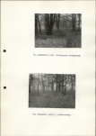 Ewidencja parkowa, skan nr 27