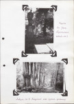Ewidencja parkowa, skan nr 38