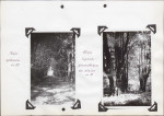 Ewidencja parkowa, skan nr 41