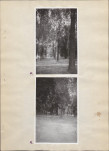 Ewidencja parkowa, skan nr 25