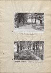 Ewidencja parkowa, skan nr 23