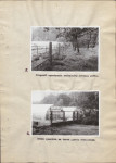 Ewidencja parkowa, skan nr 24