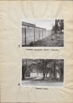Ewidencja parkowa, skan nr 25