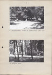 Ewidencja parkowa, skan nr 28