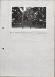 EP - Ewidencja parkowa, skan nr 20