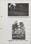 EP - Ewidencja parkowa, skan nr 27