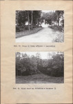EP - Ewidencja parkowa, skan nr 34
