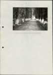 EP - Ewidencja parkowa, skan nr 23