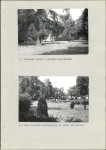 Ewidencja parkowa, skan nr 34