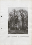 Ewidencja parkowa, skan nr 22