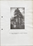 Ewidencja parkowa, skan nr 28