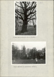 Ewidencja parkowa, skan nr 26