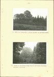 Ewidencja parkowa, skan nr 40