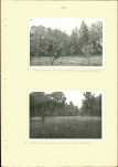 Ewidencja parkowa, skan nr 41