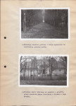 EP - Ewidencja parkowa, skan nr 26