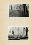 EP - Ewidencja parkowa, skan nr 32