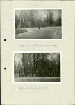 Ewidencja parkowa, skan nr 29