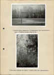 Ewidencja parkowa, skan nr 34