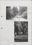 Ewidencja parkowa, skan nr 28