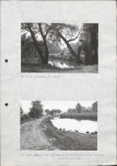 Ewidencja parkowa, skan nr 29
