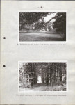 Ewidencja parkowa, skan nr 29