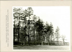 Ewidencja parkowa, skan nr 41
