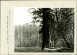 Ewidencja parkowa, skan nr 50