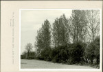 Ewidencja parkowa, skan nr 29