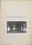 Ewidencja parkowa, skan nr 19