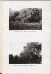 Ewidencja parkowa, skan nr 30