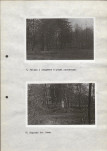 EP - Ewidencja parkowa, skan nr 30