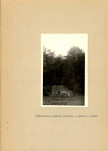 Ewidencja parkowa, skan nr 18