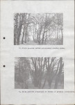 EP - Ewidencja parkowa, skan nr 31