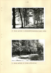 Ewidencja parkowa, skan nr 21