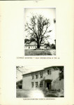 Ewidencja parkowa, skan nr 31