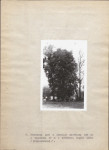 Ewidencja parkowa, skan nr 22
