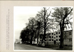 Ewidencja parkowa, skan nr 31