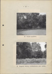 EP - Ewidencja parkowa, skan nr 29