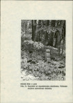 Ewidencja parkowa, skan nr 30