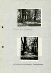Ewidencja parkowa, skan nr 39