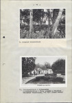 EP - Ewidencja parkowa, skan nr 23