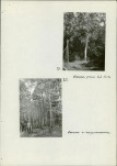EP - Ewidencja parkowa, skan nr 29