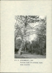 Ewidencja parkowa, skan nr 26
