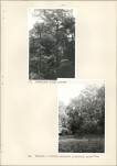 EP - Ewidencja parkowa, skan nr 40