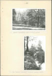 EP - Ewidencja parkowa, skan nr 40