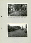 EP - Ewidencja parkowa, skan nr 33