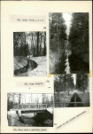 EP - Ewidencja parkowa, skan nr 43