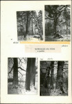 EP - Ewidencja parkowa, skan nr 47