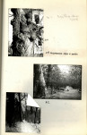 EP - Ewidencja parkowa, skan nr 49